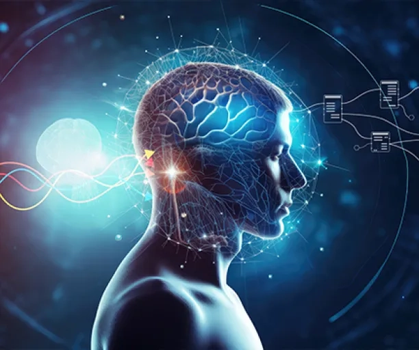 L’innovation au cœur de la filière ingénierie biomédicale