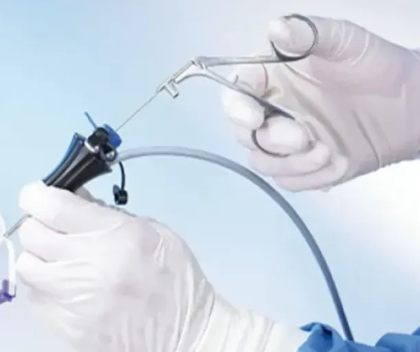 Des endoscopes à usage unique made in Tours s'exportent dans le monde entier, la belle histoire d’Axess Vision Technology