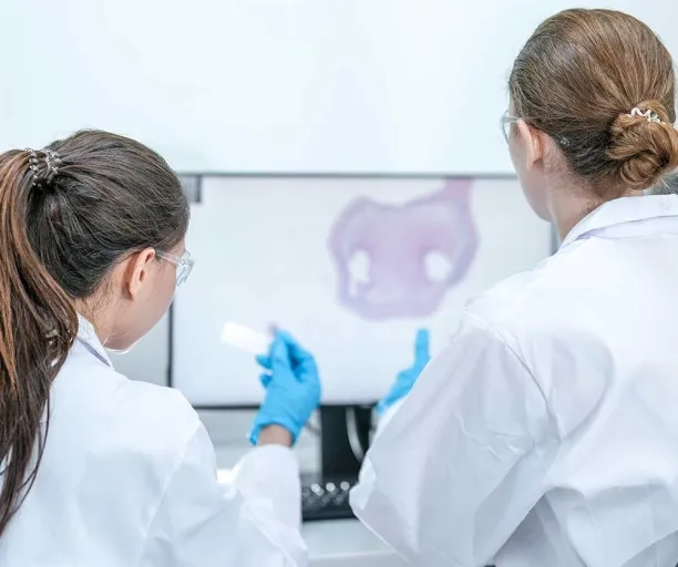 Appel à experts : fourniture de solutions de numérisation 