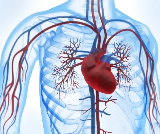 Renouvellement de la procédure ECMO, IABP, Aphérèse et consommables associés