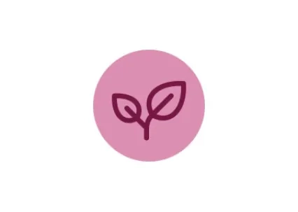 Eco responsable