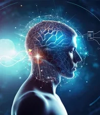 L’innovation au cœur de la filière ingénierie biomédicale