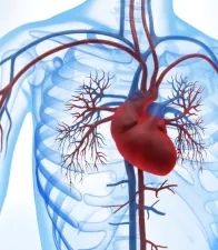 ECMO appel à expert 