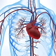 M_2718_IBM_ECMO_CPIA_apherese_1