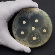 M_2870_FM_Biologie_Antiobiogramme_1