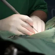M_2900_DM_gants_sterile_1