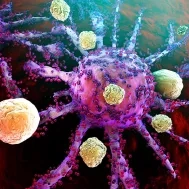 M_2947_med_anticancereux_1