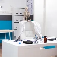 Mobilier de bureau