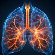 SYSTÈME ROBOTISÉ POUR LA NAVIGATION ET LE GUIDAGE DES GESTES ENDOBRONCHIQUES
